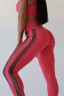 Легінси Legging Gummy Fitzona Coral 14804