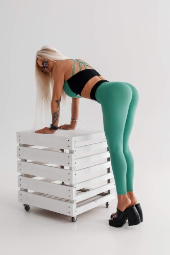 Леггинсы High Waisted Designer Leggings SIGNATURE Green 463