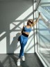 Легінси Legging Fitzona Nova Blue 14943