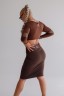 Топ Fitzona Brown Top With Details In Fishnet
