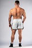 Шорты мужские Nebbia Training Shorts HERO Light Grey 295