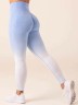 Легінси Ryderwear Ombre Seamless Leggings - Cornflower Blue Ombre