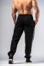 Штаны для тренировок Nebbia Training Sweatpants HERO Black 296